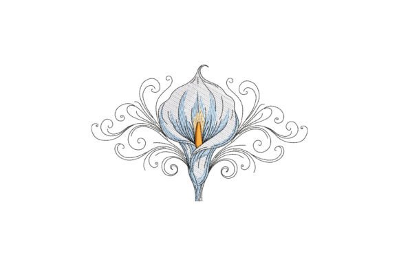 Calla Lily Flower