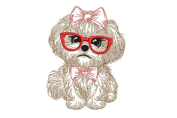 Shih Tzu Puppy