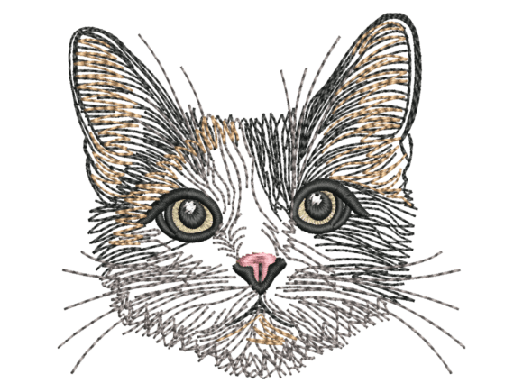 Sketch Style Calico Cat Face
